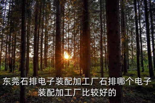 東莞石排電子裝配加工廠石排哪個電子裝配加工廠比較好的