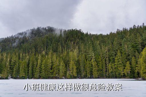 小班健康這樣做很危險教案
