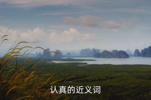 認真的近義詞