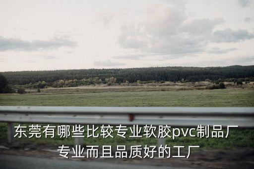 東莞有哪些比較專業(yè)軟膠pvc制品廠 專業(yè)而且品質(zhì)好的工廠