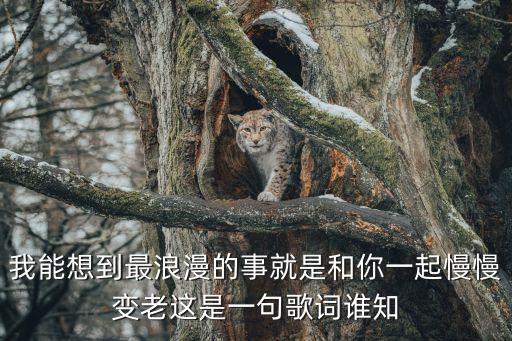 我能想到最浪漫的事就是和你一起慢慢變老這是一句歌詞誰知