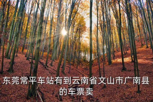 東莞常平車站有到云南省文山市廣南縣的車票賣