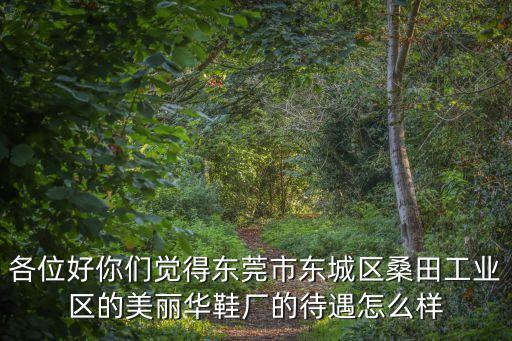 各位好你們覺得東莞市東城區(qū)桑田工業(yè)區(qū)的美麗華鞋廠的待遇怎么樣
