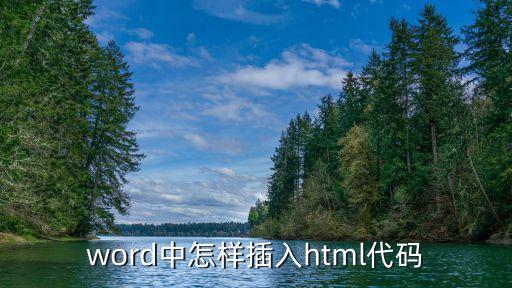 word插入代碼，在word中怎樣插入特殊符號