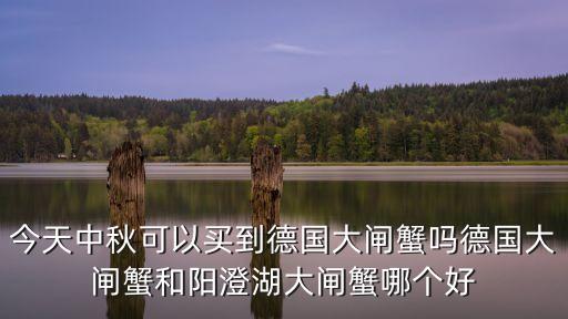 今天中秋可以買到德國大閘蟹嗎德國大閘蟹和陽澄湖大閘蟹哪個好