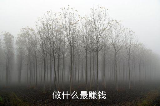 做什么最賺錢，做什么行業(yè)最賺錢
