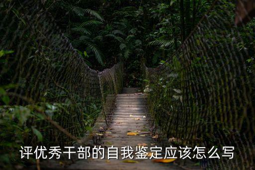 評(píng)優(yōu)秀干部的自我鑒定應(yīng)該怎么寫