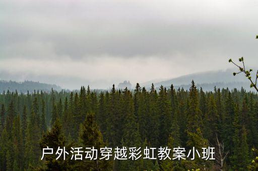 戶外活動穿越彩虹教案小班