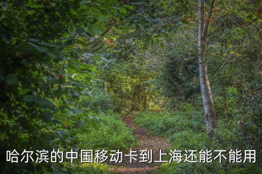 哈爾濱的中國移動卡到上海還能不能用