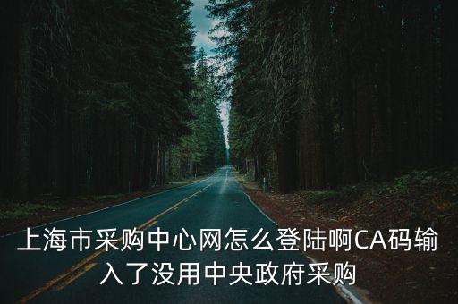 上海市采購中心網怎么登陸啊CA碼輸入了沒用中央政府采購