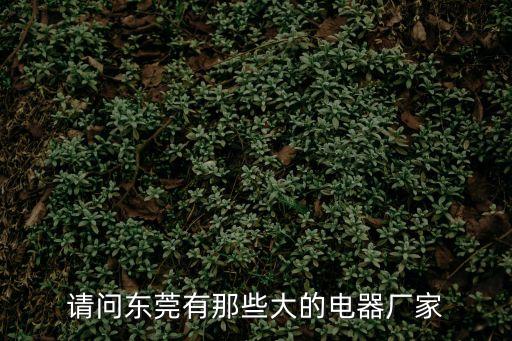 請(qǐng)問(wèn)東莞有那些大的電器廠家