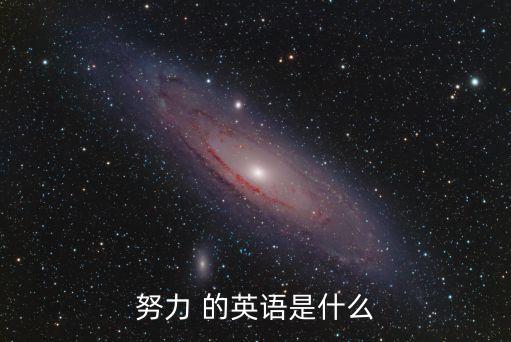 勤奮英文，勤快用英語怎么表示也就是說怎么拼