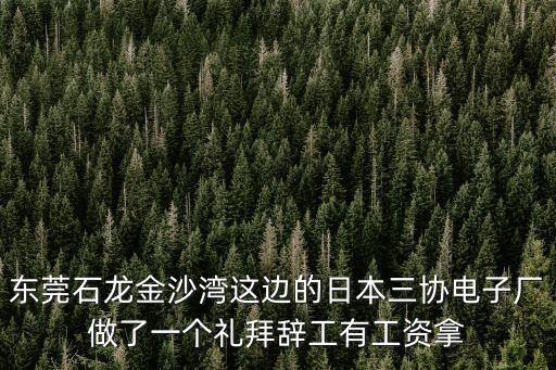 東莞石龍日本工廠，東莞市石龍鎮的日本電產三協香港有限公司好嗎