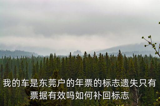 我的車是東莞戶的年票的標(biāo)志遺失只有票據(jù)有效嗎如何補回標(biāo)志