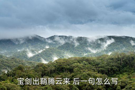 寶劍出鞘，寶劍出鞘騰云來 后一句怎么寫