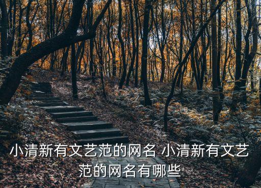 文藝小清新網(wǎng)名，求文藝氣息的網(wǎng)名小清新之類的