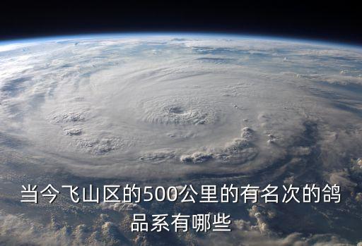 當今飛山區的500公里的有名次的鴿品系有哪些