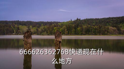 國通東莞分撥中心地址，國通快遞查詢