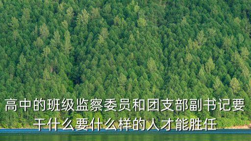 團支部副書記，校團委副書記是干什么的