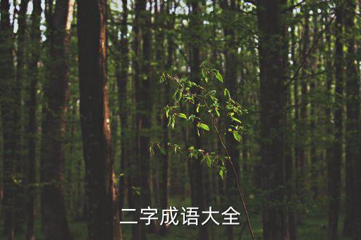 二字成語大全，兩個字的成語有哪些