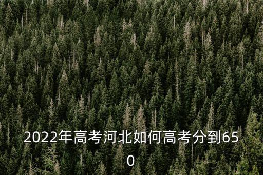 2022年高考河北如何高考分到650