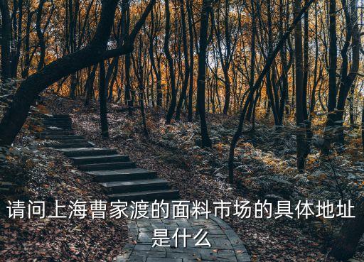 請問上海曹家渡的面料市場的具體地址是什么