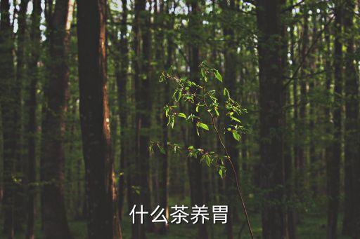 什么茶養胃