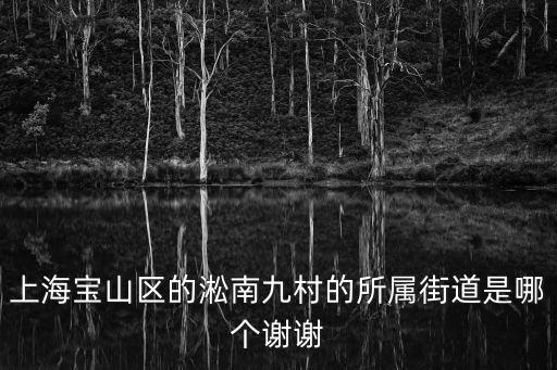 上海寶山區的淞南九村的所屬街道是哪個謝謝