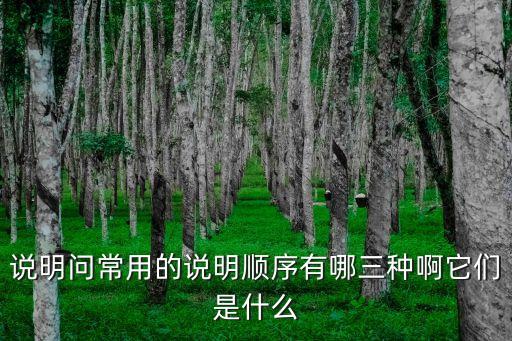 說明問常用的說明順序有哪三種啊它們是什么
