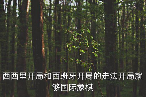 西西里開局和西班牙開局的走法開局就夠國際象棋