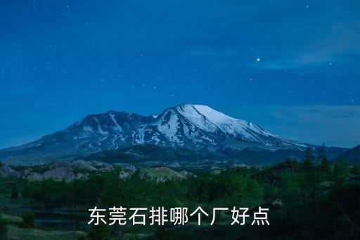 東莞石排哪個廠好點