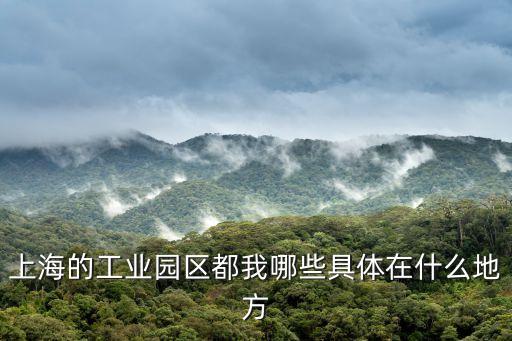 上海的工業園區都我哪些具體在什么地方