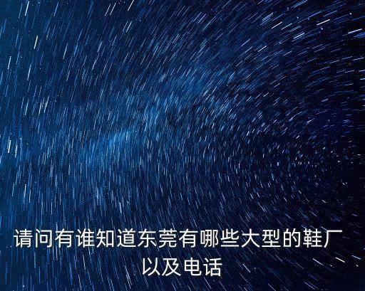 請問有誰知道東莞有哪些大型的鞋廠 以及電話