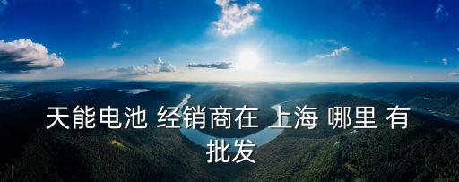 上海市天能電池代理，天能電池 經(jīng)銷商在 上海 哪里 有 批發(fā)
