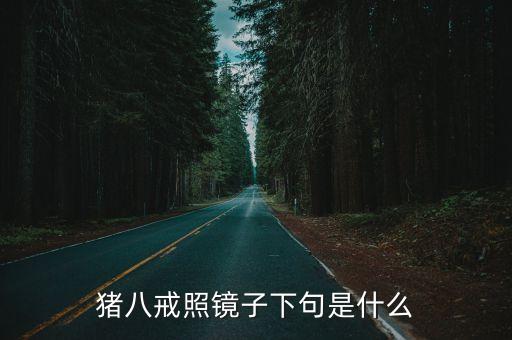 豬八戒照鏡子下句是什么
