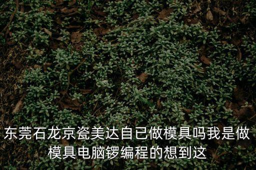 東莞石龍京瓷美達(dá)自已做模具嗎我是做模具電腦鑼編程的想到這
