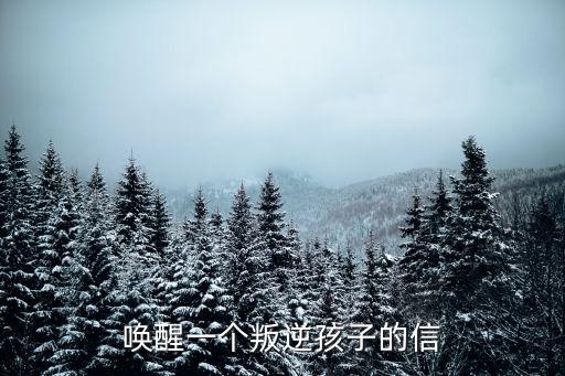 喚醒一個(gè)叛逆孩子的信