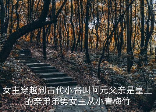 芳華作者，女主穿越到古代小名叫阿元父親是皇上的親弟弟男女主從小青梅竹