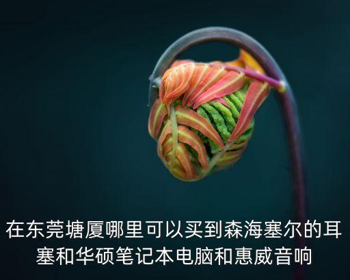 在東莞塘廈哪里可以買到森海塞爾的耳塞和華碩筆記本電腦和惠威音響