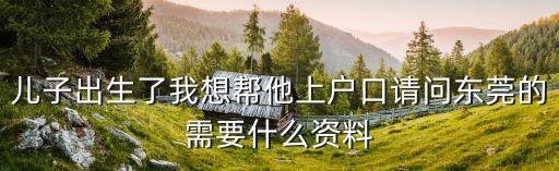 兒子出生了我想幫他上戶口請問東莞的需要什么資料