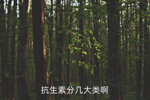 抗生素分幾大類啊
