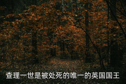 查理一世是被處死的唯一的英國(guó)國(guó)王