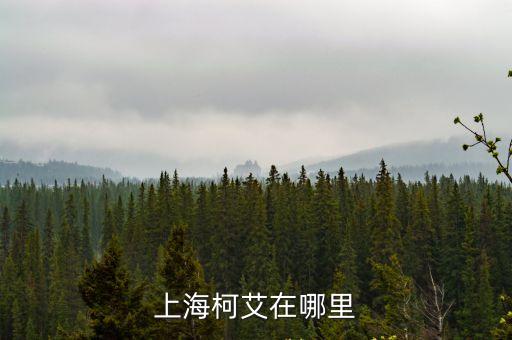 上海市連堯路，上海曹魏豐實業有限公司在什么路上