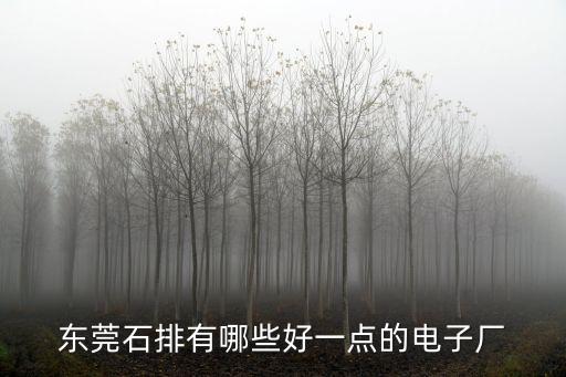 東莞石排有哪些好一點的電子廠