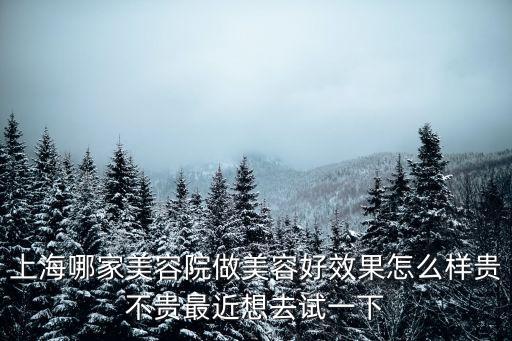 上海哪家美容院做美容好效果怎么樣貴不貴最近想去試一下
