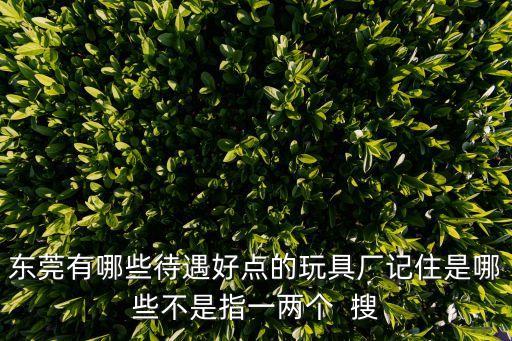 東莞有哪些待遇好點的玩具廠記住是哪些不是指一兩個  搜