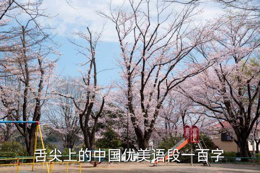 舌尖上的中國優美語段一百字