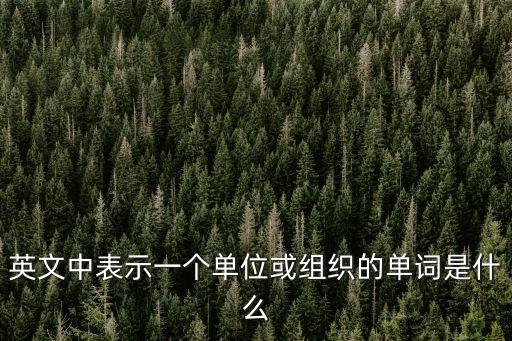 英文中表示一個單位或組織的單詞是什么