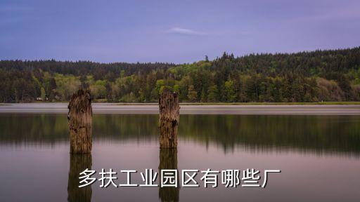 多扶工業園區有哪些廠