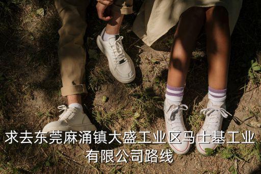 求去東莞麻涌鎮大盛工業區馬士基工業有限公司路線